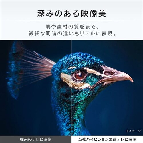 Google Chromecast クロームキャストセット 液晶テレビ 40Ｖ型 LT-40D420W ホワイト 1915245 │アイリスプラザ│ アイリスオーヤマ公式通販サイト
