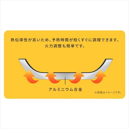 肪OtCpEȂ 12_Zbg NTF-SEI12 ubN^bN_6