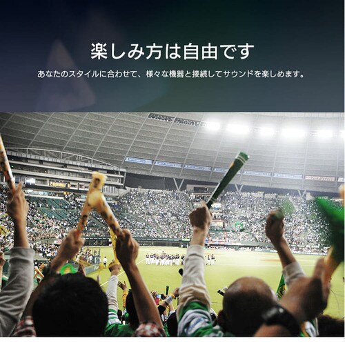 TEhXs[J[ Bluetooth 2.1ch IHT-S201 ubN_11