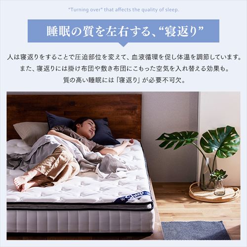 マットレス ダブル ポケットコイル 厚さ23㎝ ピロートップ Sheep