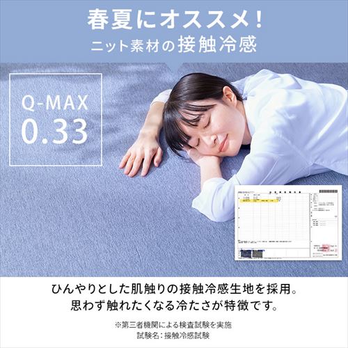 ラグ ラ・クッションラグ リバーシブルタイプ 春夏秋冬使えるラグ