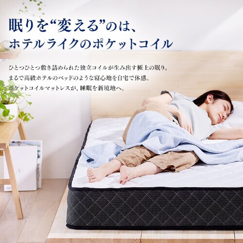 うるママ様　✨新品✨サイズ23cm ニッスイ「わが家の麺自慢」(家庭用冷凍食品)シリーズ、藤岡弘、さん