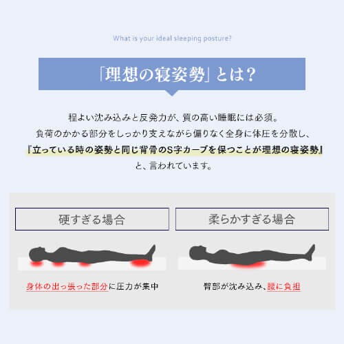 y5%OFFz}bgX Z~_u |PbgRC d 23cm PMTS23H-SD Sheep_10