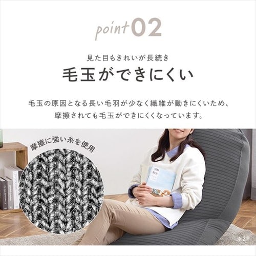 ビーズクッション リバーシブル RBC-1P ライトグレー K100645