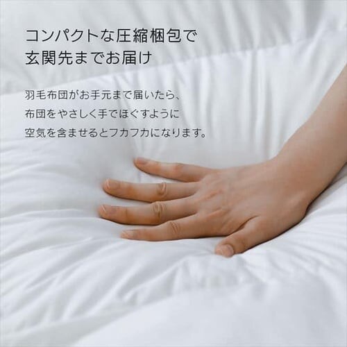 Hѕzc VO WDD90% 370dp 1.0kg ̃Lg zM RۏL AC{[_18