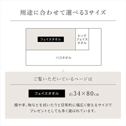 y2Zbgz tFCX^I fC[ FT-D2 CgO[_8