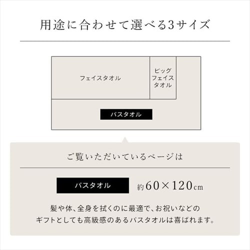 y4Zbgz oX^I fC[ BT-D2 CgO[_8