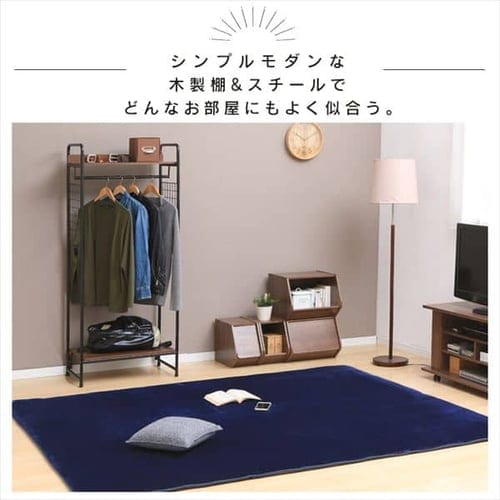 アイリスオーヤマ スタイルハンガー2WAYタイプ ハンガーラック 1段 スタイルハンガー 2WAYタイプ プレミアム 棚