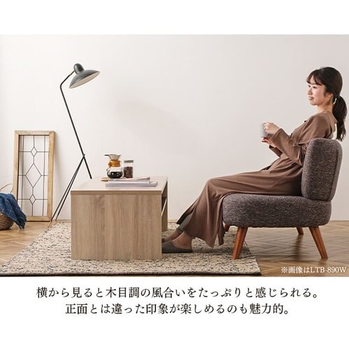 y󂠂z[e[u rOe[u LTB-1190W Cgi`_7