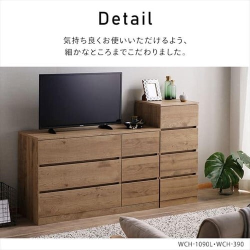 Ebh`FXg [^Cv WCH-1090L ItzCg_10