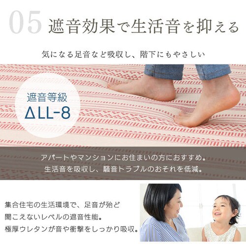 ラ・クッションラグ ジャガード ACRJ-1818EEthnic レッド K518347 │アイリスプラザ│アイリスオーヤマ公式通販サイト