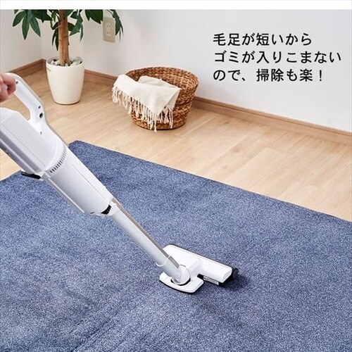 ENbVO ACRB-1318 uE_10