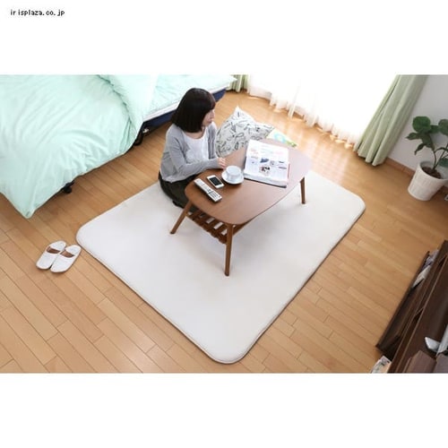 雑誌で紹介された 透明 ビニールカーテン シングル TYPE 1 VC06 片開き