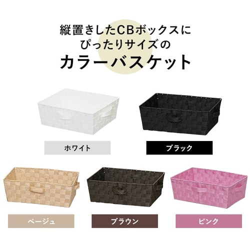 パコセレクト　3個セット 42089-3.jpg