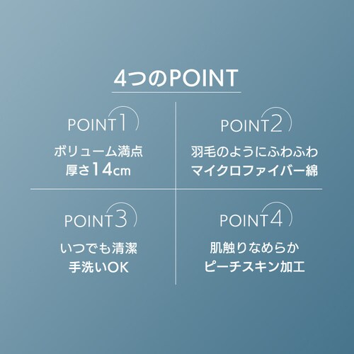 ӂX[vs[ PT-4060_3