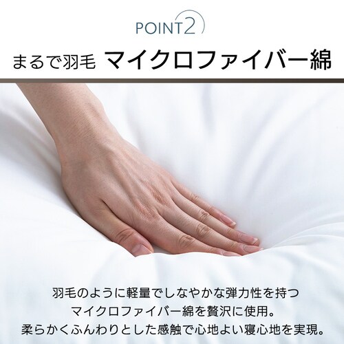 ӂX[vs[ PT-4060_7