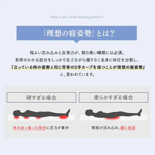 y󂠂z}bgX VO |PbgRC 20cm PMTS20NR-S Sheep_7