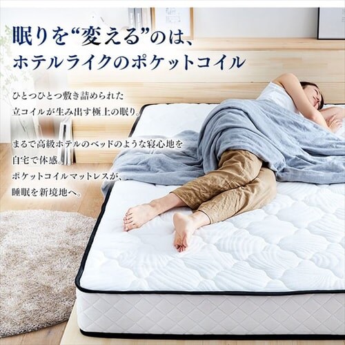}bgX _u |PbgRC 20cm PMTS20NR-D Sheep_5