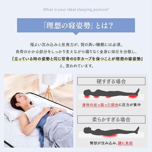 }bgX _u |PbgRC 20cm PMTS20NR-D Sheep_10