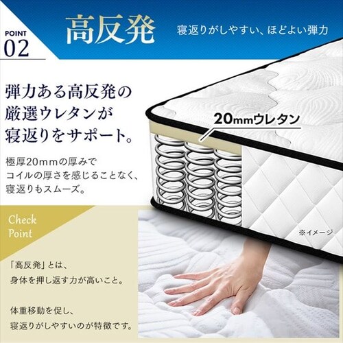 }bgX _u |PbgRC 20cm PMTS20NR-D Sheep_12