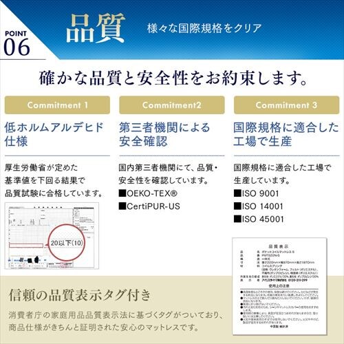 }bgX VO |PbgRC 22cm PMTS22N-S Sheep_12