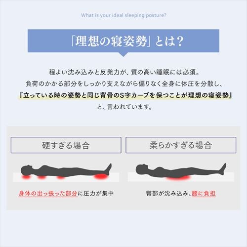 }bgX _u |PbgRC 30cm PMTD30N-D Sheep_7
