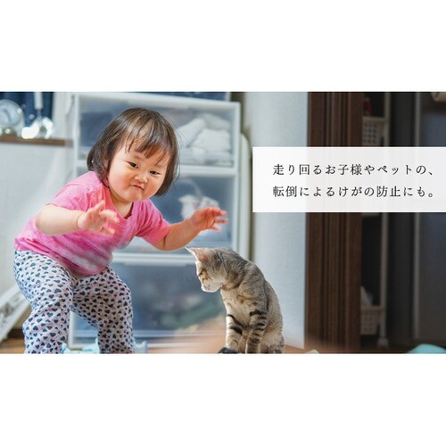 O 3 ENbV  ᔽ^Cv CRTE-1824 S3F_12