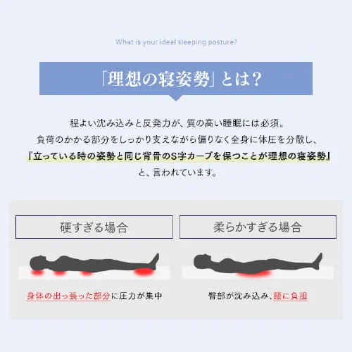 }bgX VO |PbgRC d 30cm PMTS30H-S Sheep_9