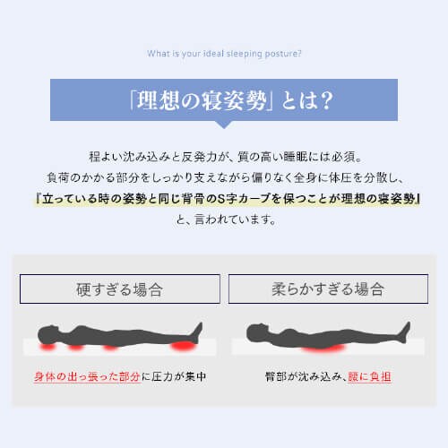 }bgX Z~_u |PbgRC 25cm PMTS25N-SD Sheep_9