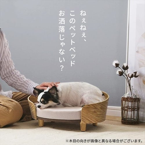 オーダー用パネル❤️アイスクリームハウス❤️チワワ フラット