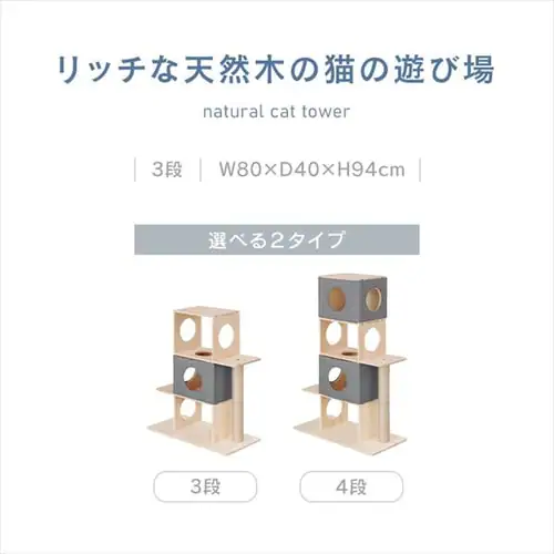 i`Lbg^[ NCT-3@3i_2