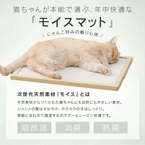 猫用珪藻土マット NECOCOCHI ねここち ナチュラル_2
