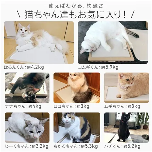 猫用珪藻土マット NECOCOCHI ねここち ナチュラル_3