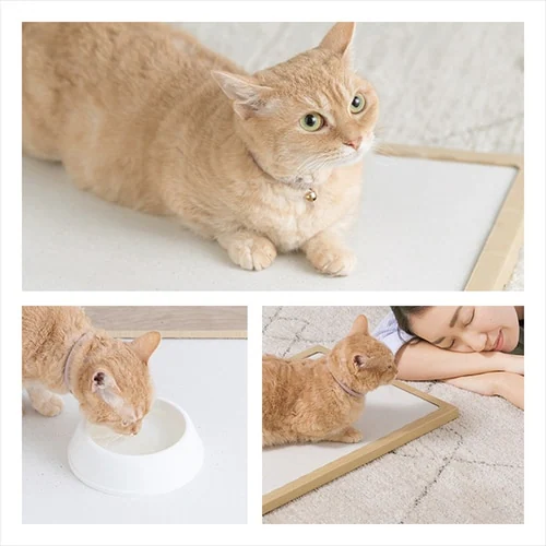 猫用珪藻土マット NECOCOCHI ねここち ナチュラル_8