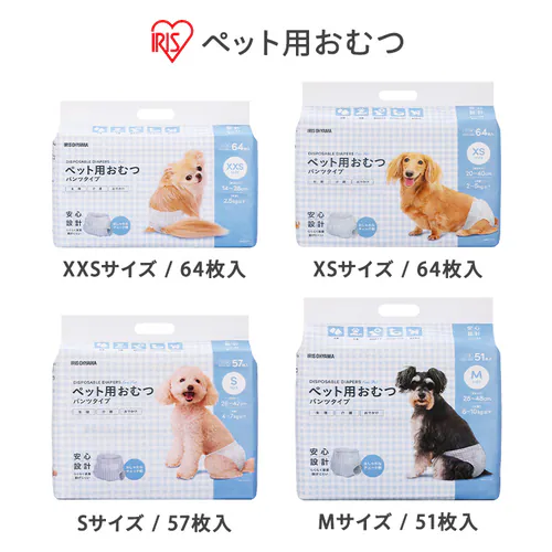ybgpނ XSTCY_2
