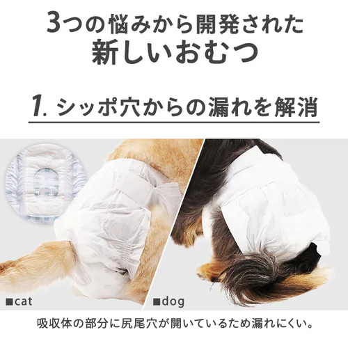 ybgpނ XSTCY_6
