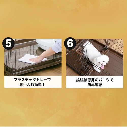 y󂠂zRrl[VT[N ɂ񂱌2iZbg P-CS-932 uE_4