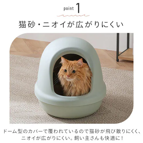 lR̃gCtJo[ P-NE-500-F EEO_4