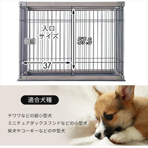 y󂠂zEbfBT[N PWSR-1280V Cgi`_20