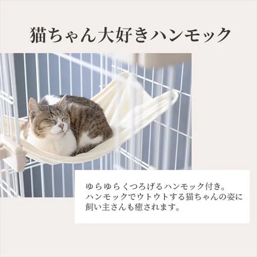 y󂠂zEbfBLbgP[W3i PWCR-963 i`_4