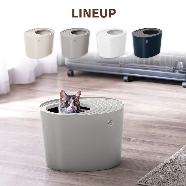 その他 Gato 611Gz19hPpL._AC_UF1000,