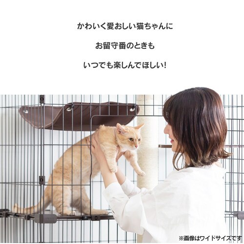 LbghP[W X 5i PCLC-703 ItzCg_2