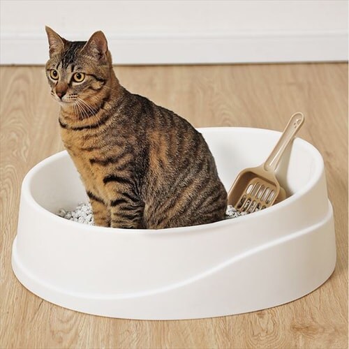 倒れにくいネコのトイレ オープンタイプ ホワイト ベージュ Oclp 390 猫 猫用 トイレ 猫トイレ ネコトイレ P アイリスプラザ アイリスオーヤマ公式通販サイト