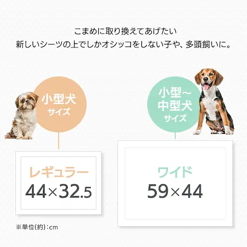 _ňlɒ풆I^y1200zeʔ^ybgV[c DES-1200_2