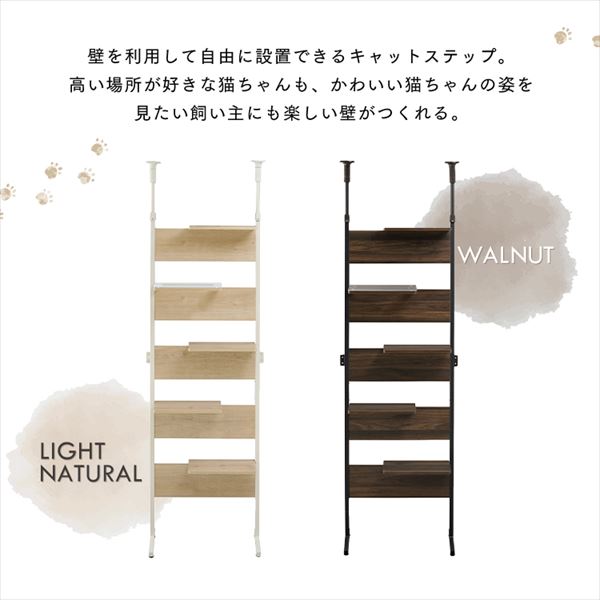 ☆5,000円OFFクーポン☆キャットステップ CATS-68 ライト