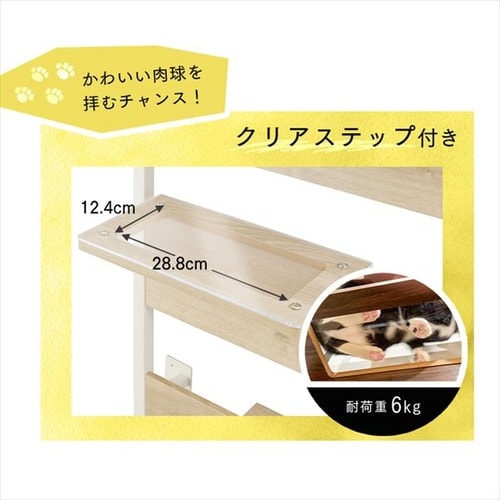 キャットステップ CATS-68 ウォールナット P291495 │アイリス
