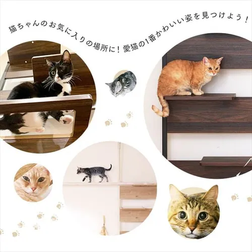 LbgXebv CATS-68 Cgi`_13