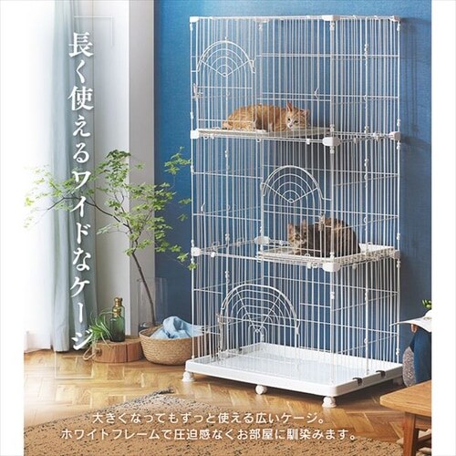 2,000~OFFybgP[W LP[W 3i PEC-903 zCg LX^[t_6