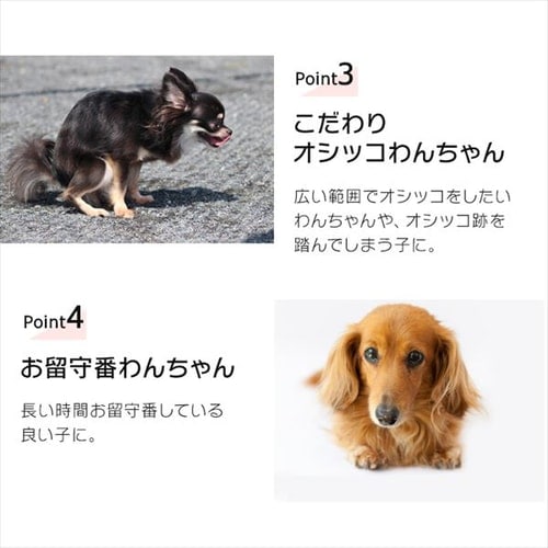 厚型】ペットシーツ レギュラーサイズ 800枚【ネット限定】 1901815 │アイリスプラザ│アイリスオーヤマ公式通販サイト