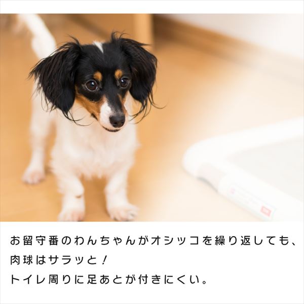400枚入】【厚型】ペットシーツ ワイド 【ネット限定】 1901816 │アイリスプラザ│アイリスオーヤマ公式通販サイト